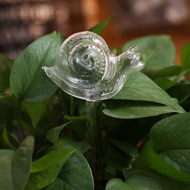 Glass Automatic Self Watering Bird Watering Cans Flowers Plant Decorative Clear Glass Watering Device Houseplant