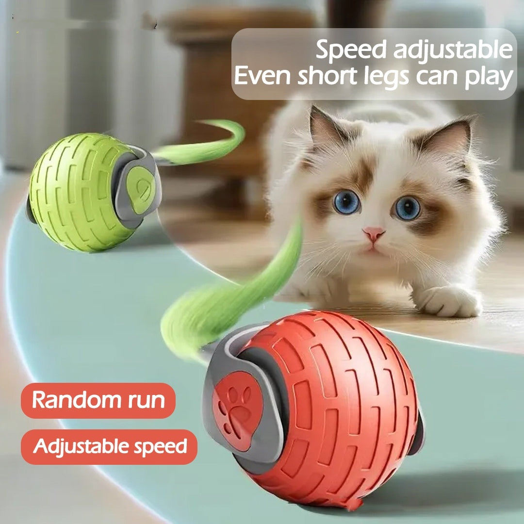 Interactive Cat Toys Ball Auto Electric automtisches interaktives Spielzeug für die aktive Katze