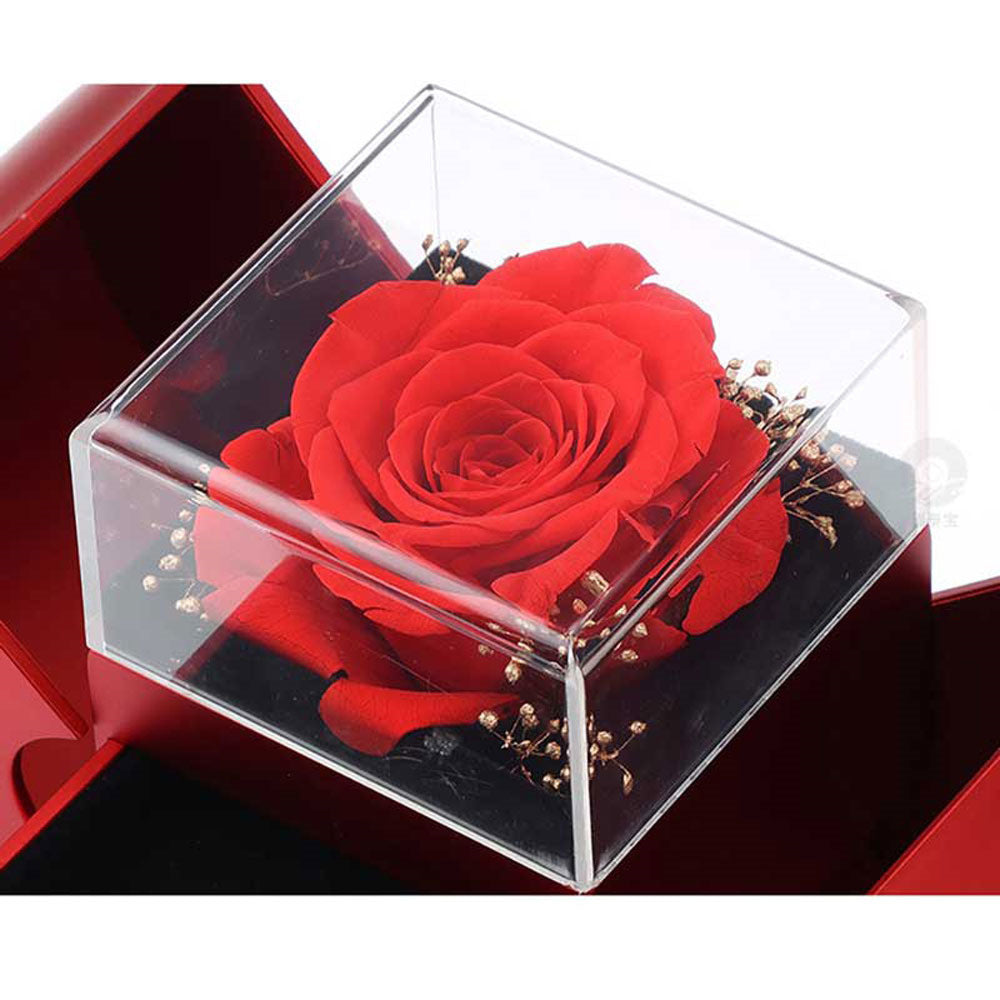 Fashion Jewelry Box Red Apple Valentines Day